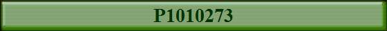 P1010273