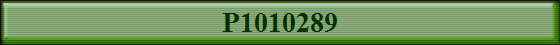 P1010289