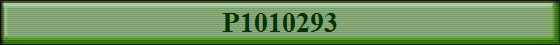P1010293