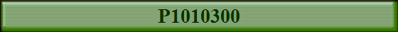 P1010300