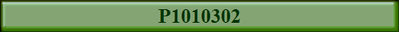 P1010302