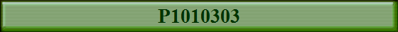 P1010303