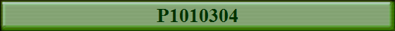 P1010304