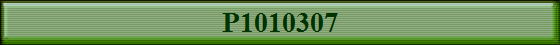 P1010307