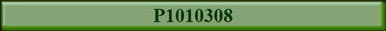 P1010308