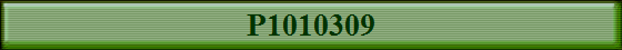 P1010309