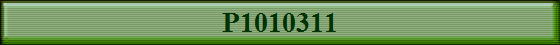 P1010311