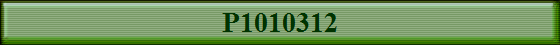 P1010312