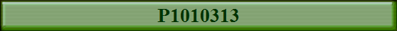 P1010313