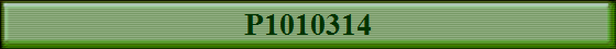 P1010314