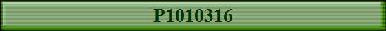 P1010316