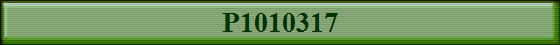 P1010317