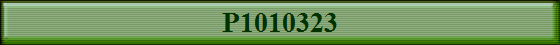 P1010323