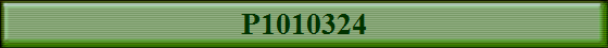 P1010324