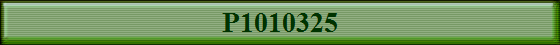 P1010325
