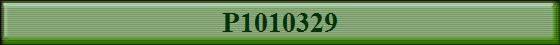 P1010329
