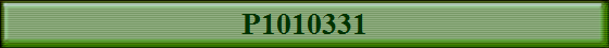 P1010331