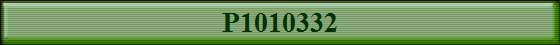 P1010332
