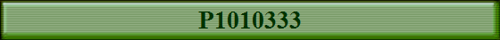P1010333
