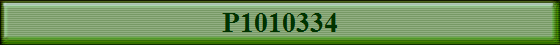 P1010334