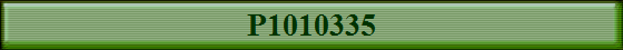 P1010335