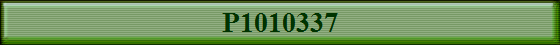 P1010337
