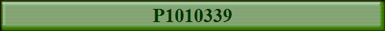 P1010339