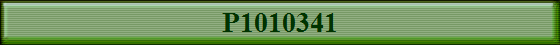 P1010341