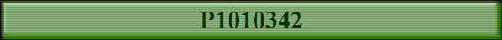 P1010342