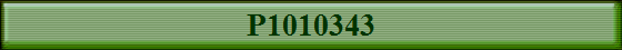 P1010343