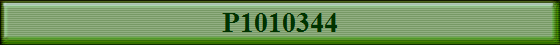 P1010344