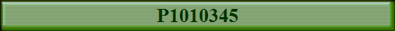 P1010345