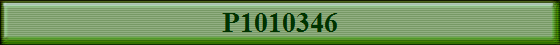 P1010346
