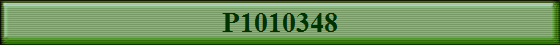 P1010348