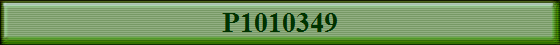 P1010349