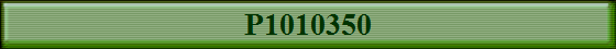P1010350