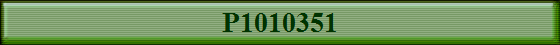 P1010351
