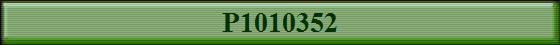 P1010352