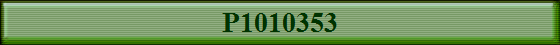 P1010353