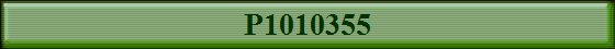 P1010355