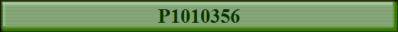 P1010356
