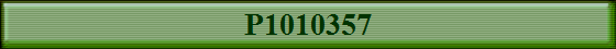 P1010357