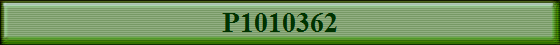 P1010362