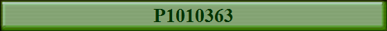 P1010363