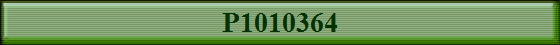 P1010364