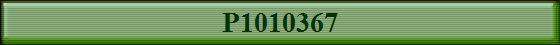 P1010367