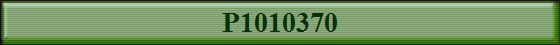 P1010370