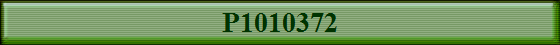 P1010372