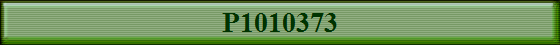 P1010373