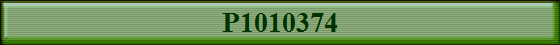 P1010374